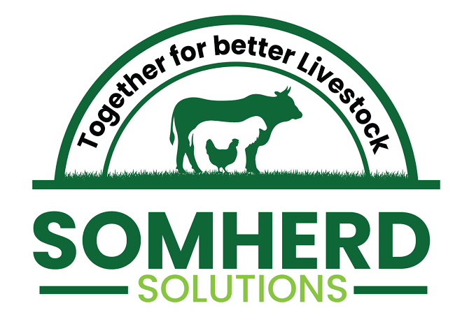 SOMHERD Solutions logo